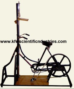 Bicycle Ergometer